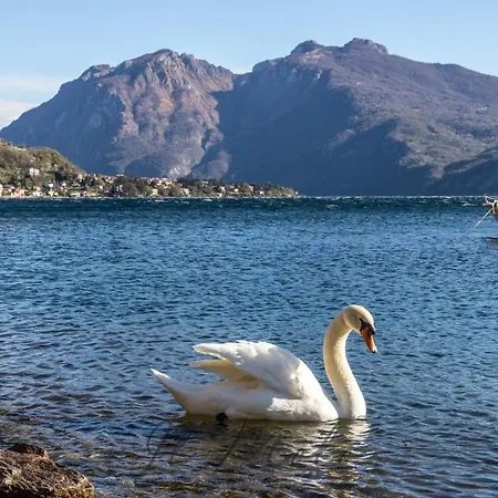 Apartament -appartamento Il Molo- A Due Passi Del